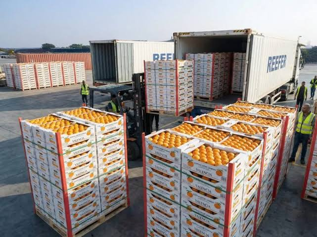 Citrus Fruits Supply Indonesia