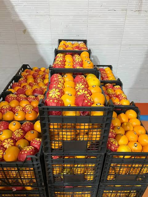Fresh Juice Oranges B2B Export
