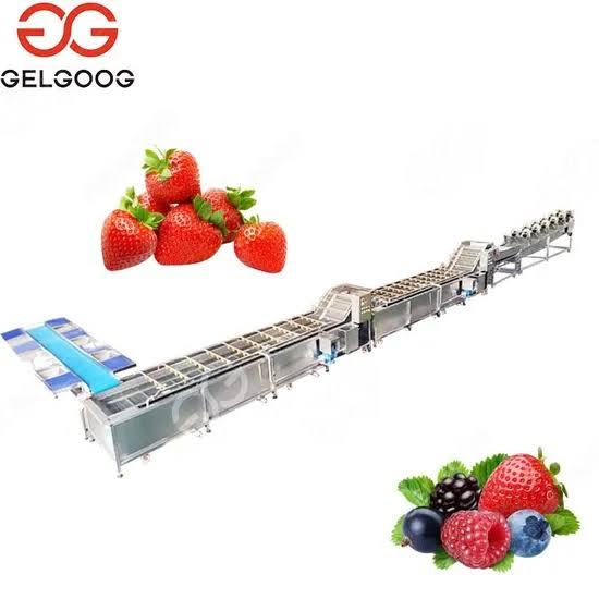 IQF Strawberries B2B Export