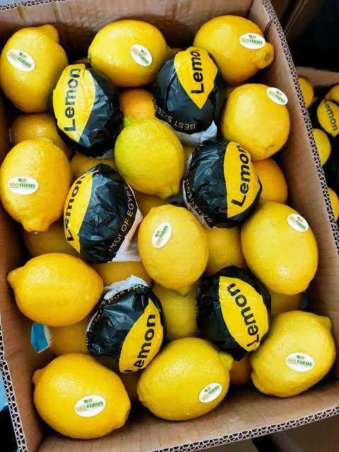 Citrus B2B Supply Contracts