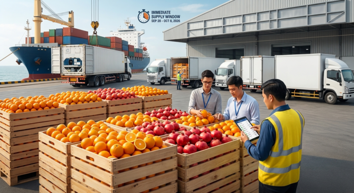 Supply Oranges to Vietnam